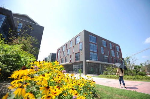 梅開春光爛漫，聚能引領未來——鼓樓云創科技園軟件外包服務